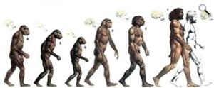 Evolució